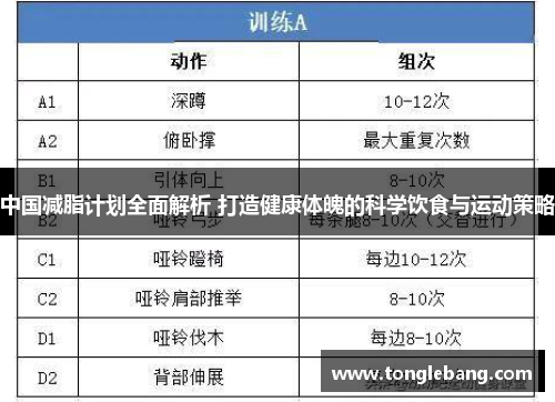 中国减脂计划全面解析 打造健康体魄的科学饮食与运动策略