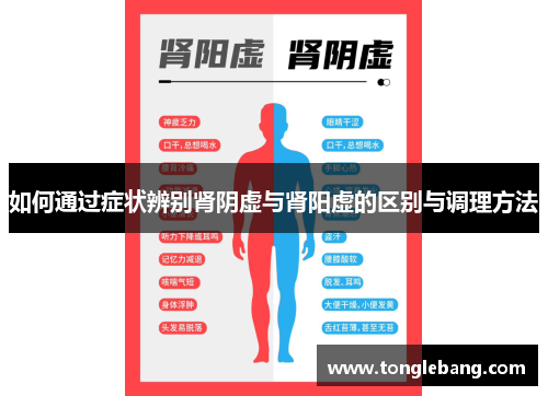 如何通过症状辨别肾阴虚与肾阳虚的区别与调理方法