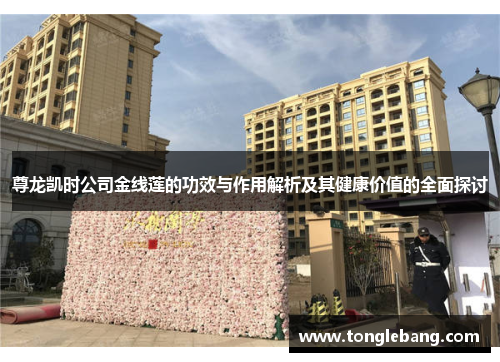尊龙凯时公司金线莲的功效与作用解析及其健康价值的全面探讨