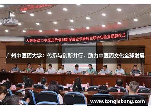 广州中医药大学：传承与创新并行，助力中医药文化全球发展