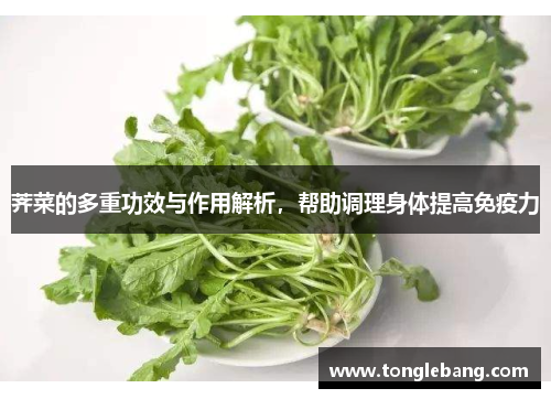 荠菜的多重功效与作用解析，帮助调理身体提高免疫力
